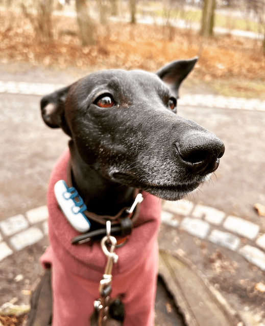 Extreme sind niemals&nbsp;gut