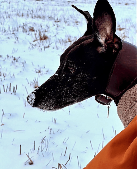 Genetik – Ein komplexes&nbsp;Thema