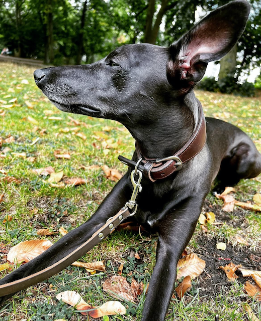 Freilauf um jeden&nbsp;Preis?