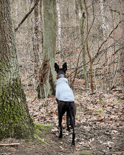 Social Media ist ein hartes Pflaster 