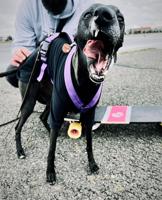 Von einer, die auszog, um unterschätzt zu&nbsp;werden