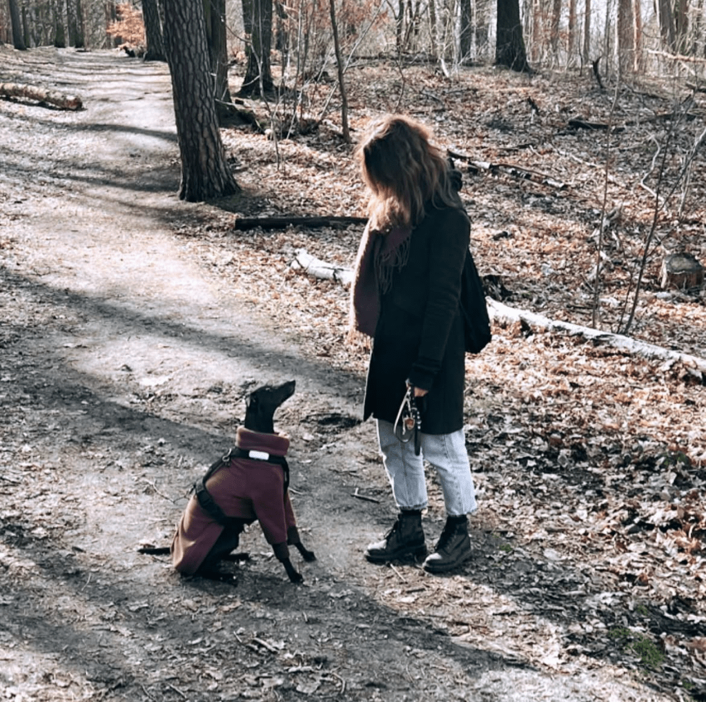 Rückschläge im Training